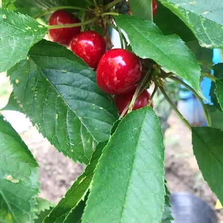 Charming In With Private Pool * Resende