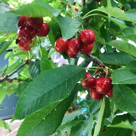 Charming In With Private Pool Villa