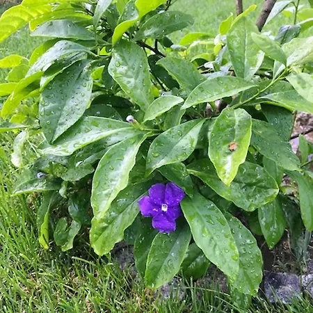 Villa Charming In With Private Pool *