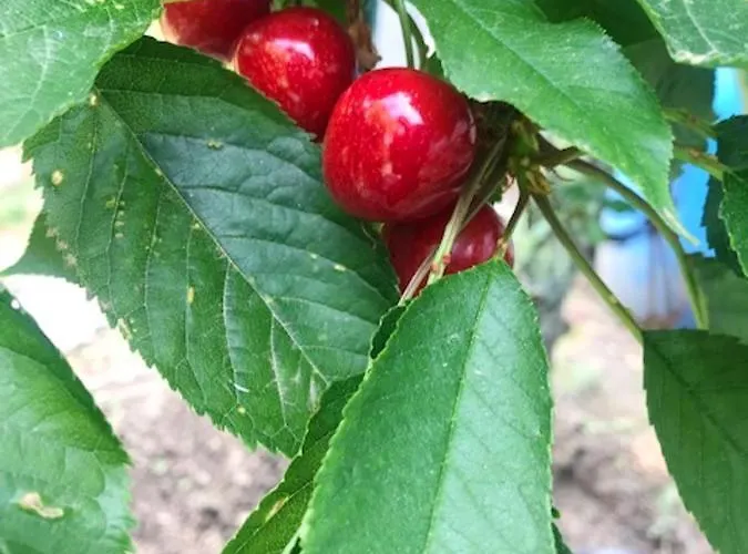 Charming In With Private Pool * Resende