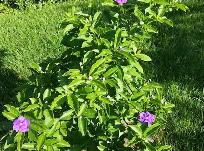 빌라 Charming In With Private Pool *