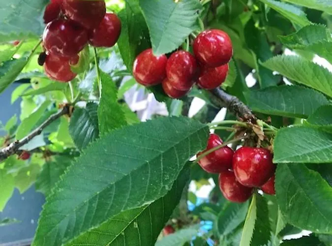 Charming In With Private Pool Villa