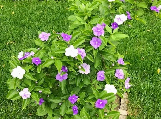 Villa Charming In With Private Pool Resende