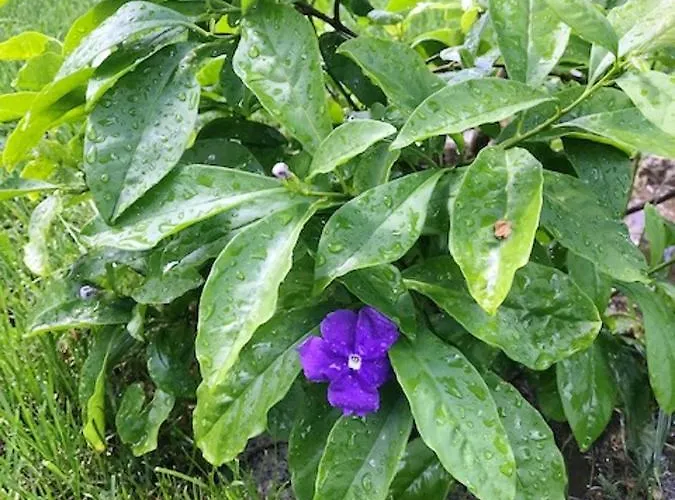 Villa Charming In With Private Pool *